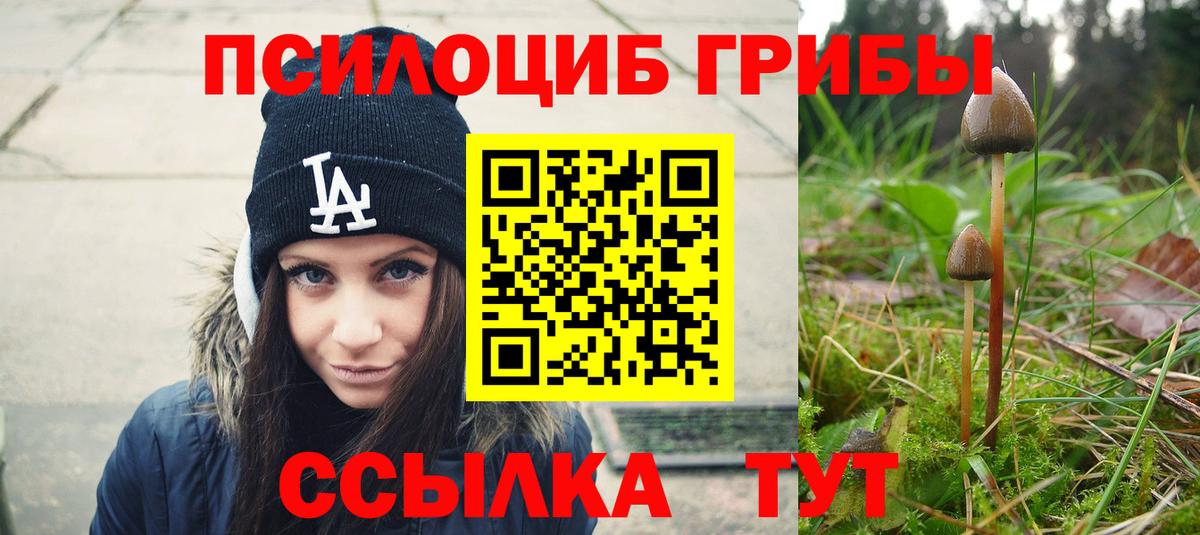 Галлюциногенные грибы мицелий  Вход с VPN  где найти   Каменск-Шахтинский 