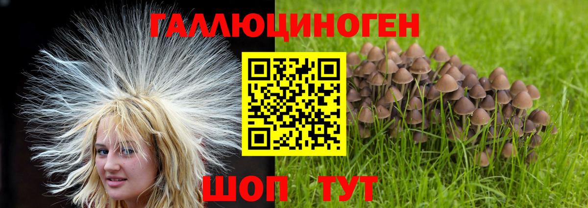 Галлюциногенные грибы мицелий Каменск-Шахтинский